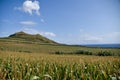 Azores - Ilha de SÃÂ£o Miguel - Portugal